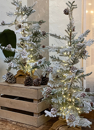  - 1_Trees_-_The_More_the_Merrier_3.jpg 