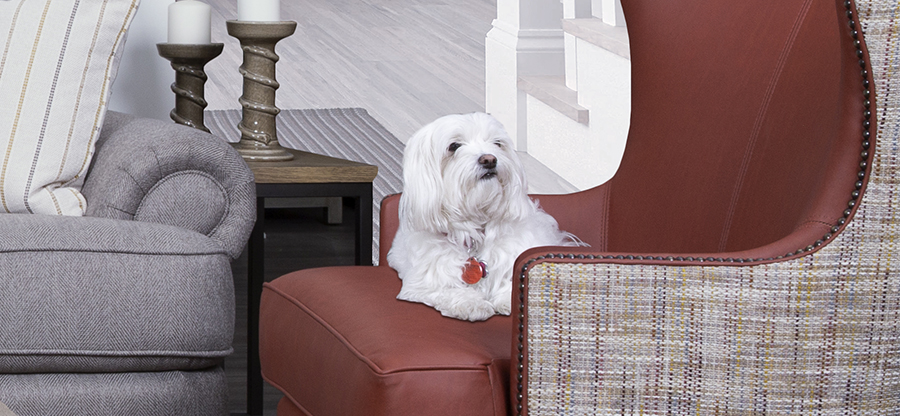 - Pets_900x416.jpg 