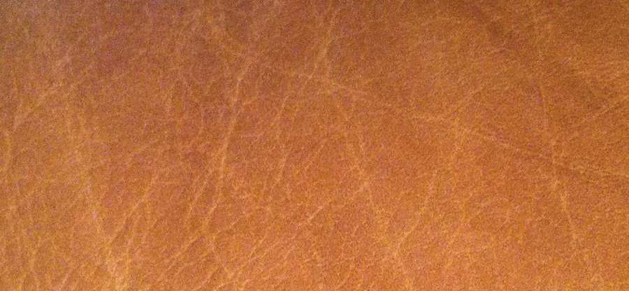 Stretch Marks - Stretch_Marks.jpg 