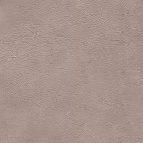 Brooks Sand WHT
