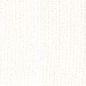 Chowchow Ivory-PP