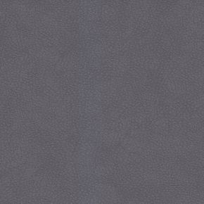 Dancer Grey