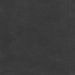 Genius Gray BLK