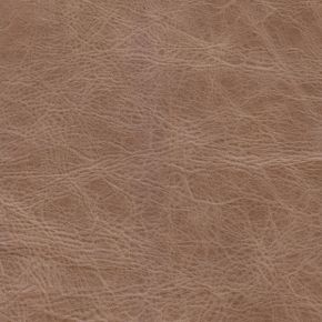 Jockey Tan BLK