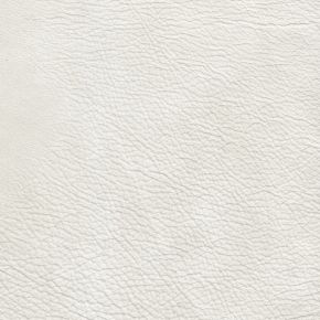 Montana White WHT