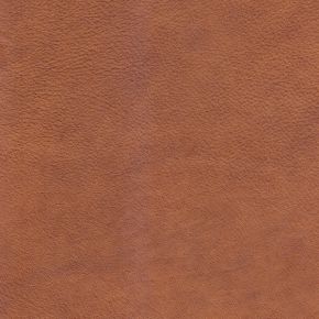 Mustang Cognac