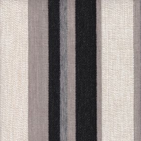 Parrot Graphite