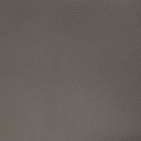 Pegasus Charcoal BLK