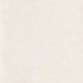 Stampede Ivory